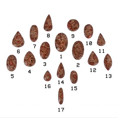 Broušený polodrahokam - Jaspis Leopardí | 1, 2, 3, 4, 5, 6, 7, 8, 9, 10, 11, 12, 13, 14, 15, 16, 17