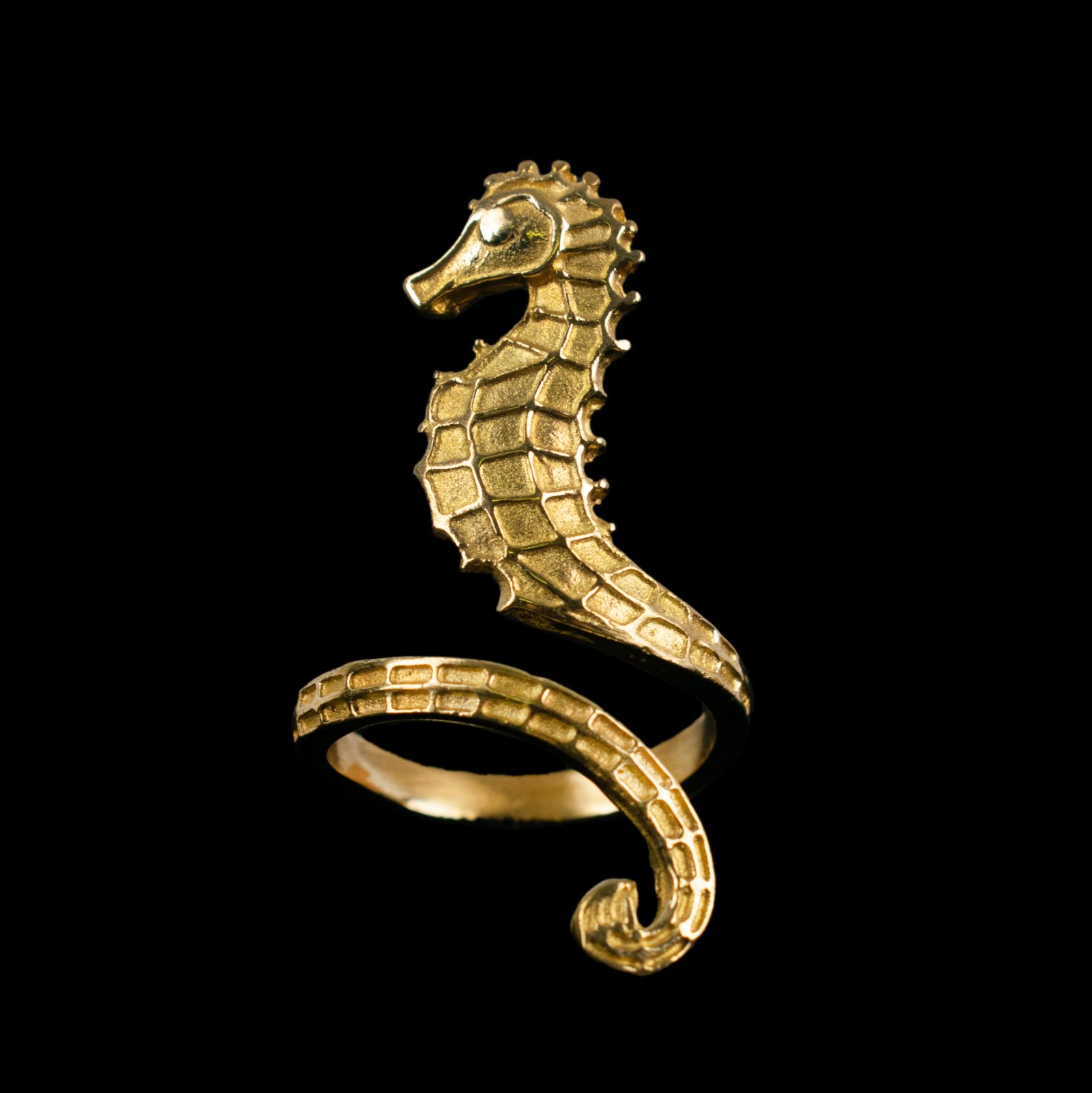 Mosazný prsten Seahorse 1 India