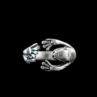 Prsten z německého stříbra Gecko 2